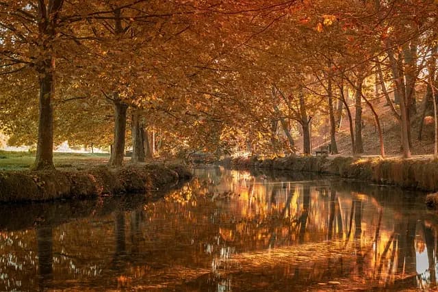 Ejercicios de Bajo Impacto para Mayores: Guía Completa